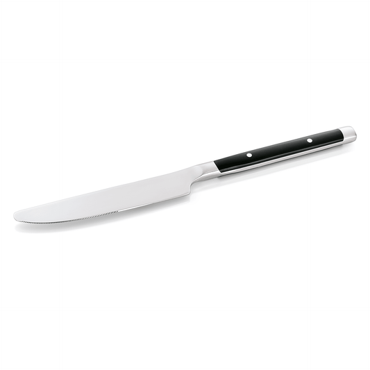 Menümesser BISTRO TREND, 22,5 cm, mit Kunststoffgriff, Set á 12 Stück, Chromstahl 13/0 