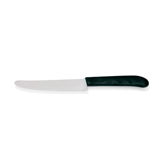 Steakmesser Set, 22cm, Set á 6 Stück, mit Kunststoffgriff, Edelstahl 