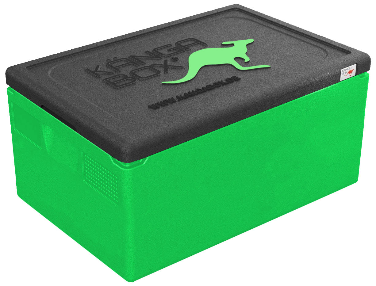 KÄNGABOX® Expert GN 1/1 46 Liter lime