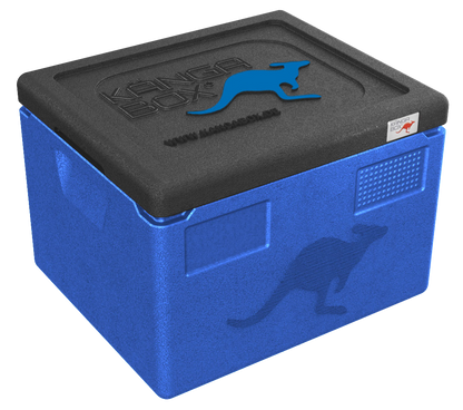 Kängabox Expert GN 1/2 blau