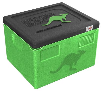 Kängabox Expert GN 1/2 lime