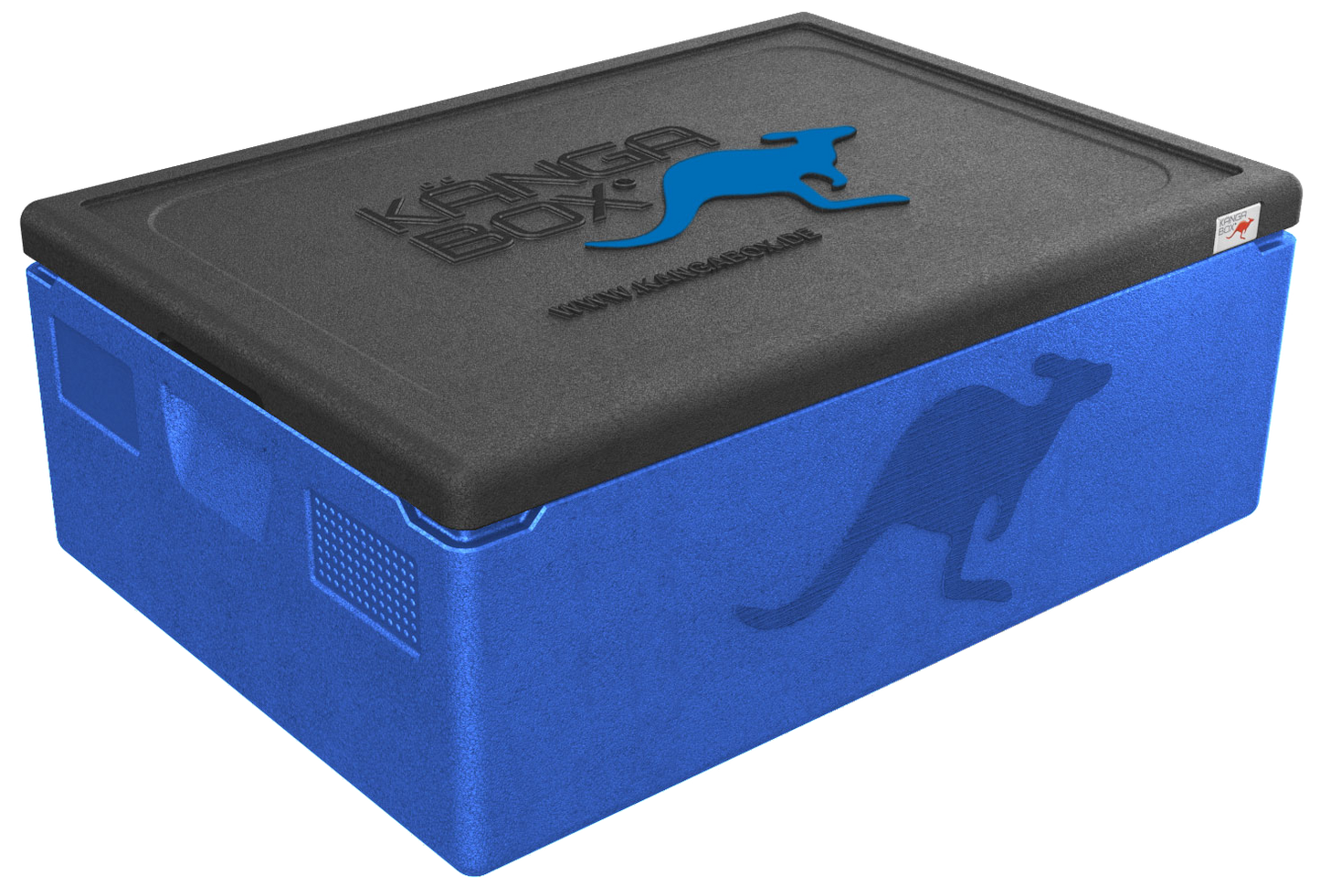 Kängabox Expert 60x40 blau