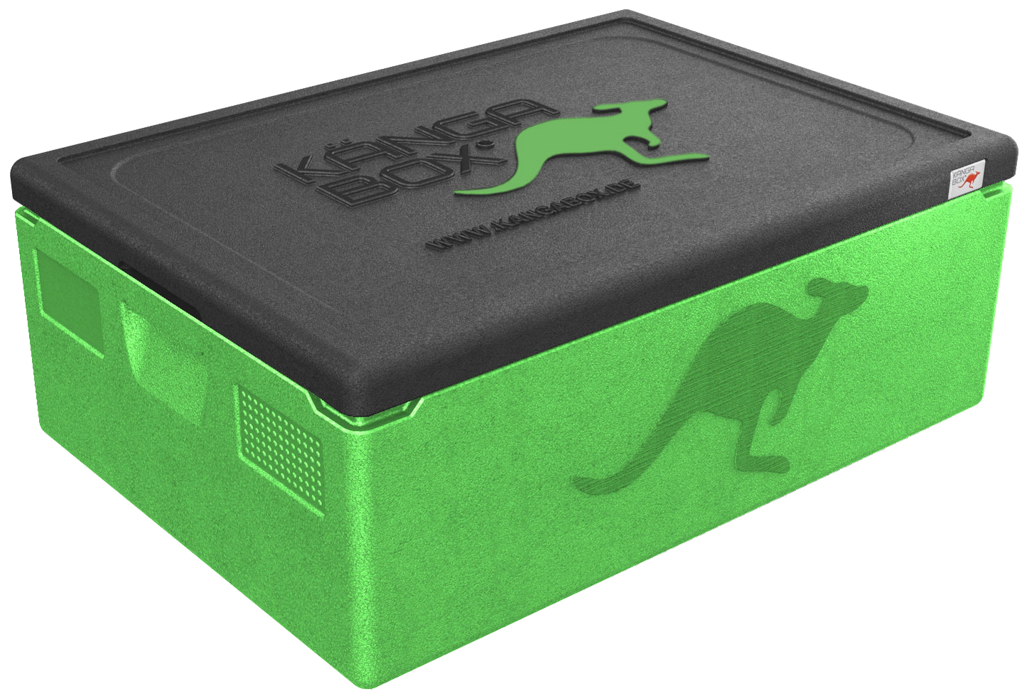 Kängabox Expert 60x40 lime