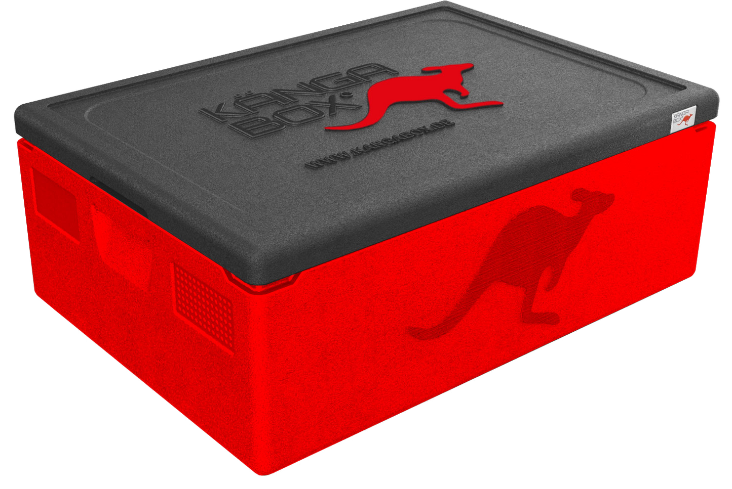 Kängabox Expert 60x40 rot