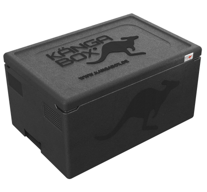Kängabox Professional 1/1 Unterfassgriffe