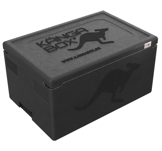 Kängabox Professional 1/1 Unterfassgriffe