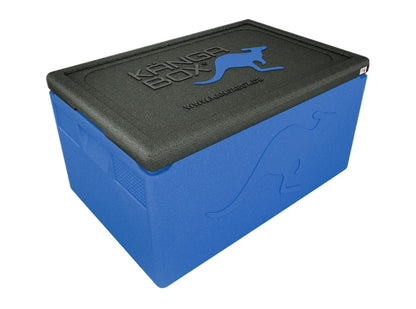 Professional Thermobox für GN 1/1 – Standardgriffe