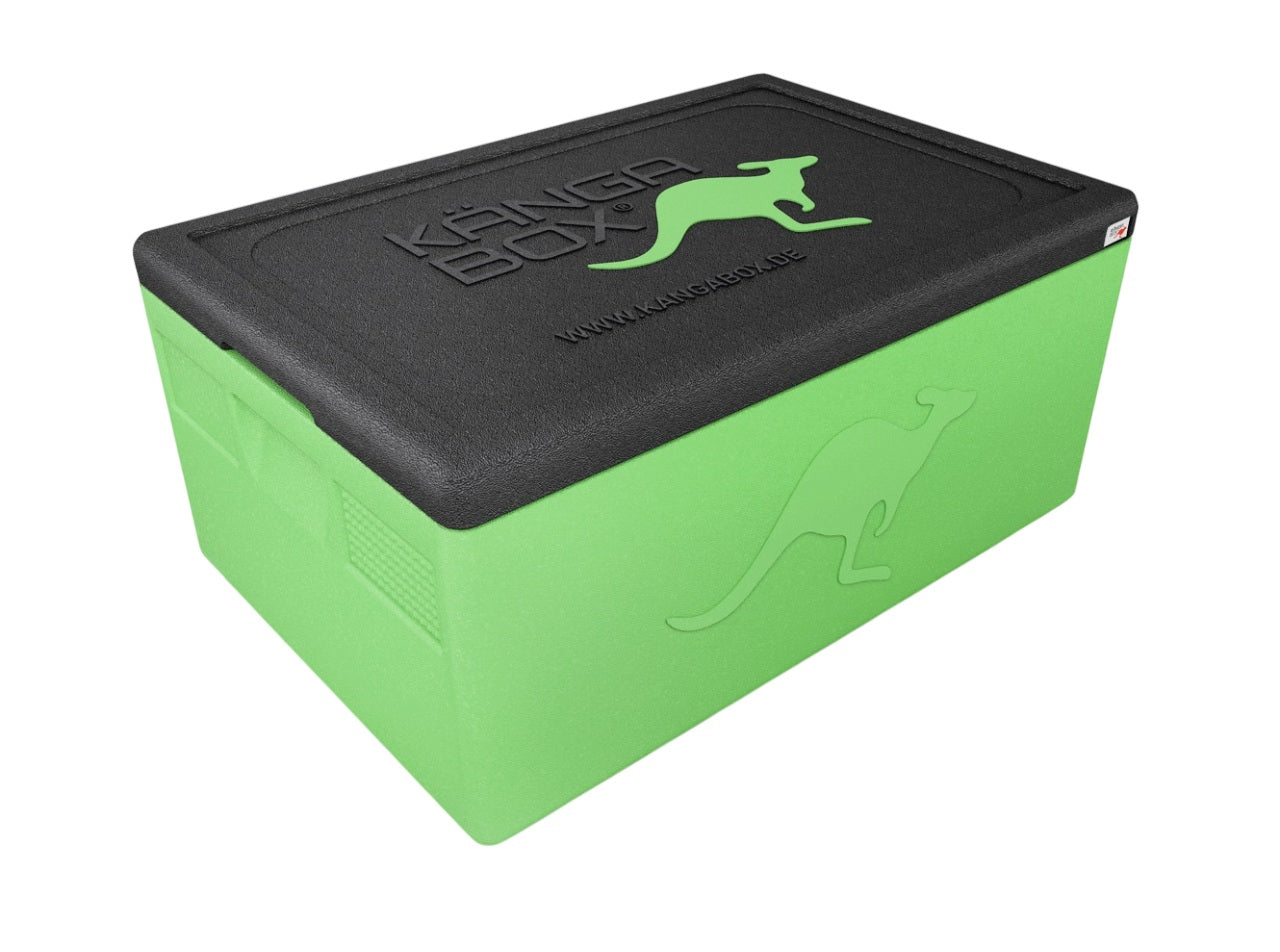 Professional Thermobox für GN 1/1 – Standardgriffe