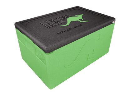 Professional Thermobox für GN 1/1 – Standardgriffe