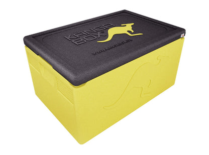 Professional Thermobox für GN 1/1 – Standardgriffe