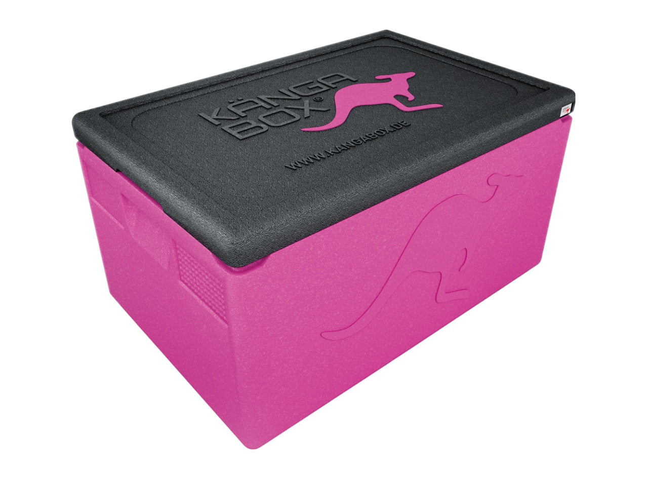 Professional Thermobox für GN 1/1 – Standardgriffe