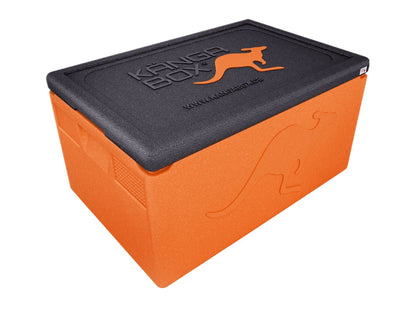 Professional Thermobox für GN 1/1 – Standardgriffe