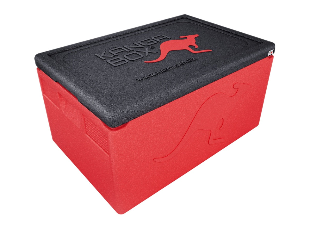 Professional Thermobox für GN 1/1 – Standardgriffe