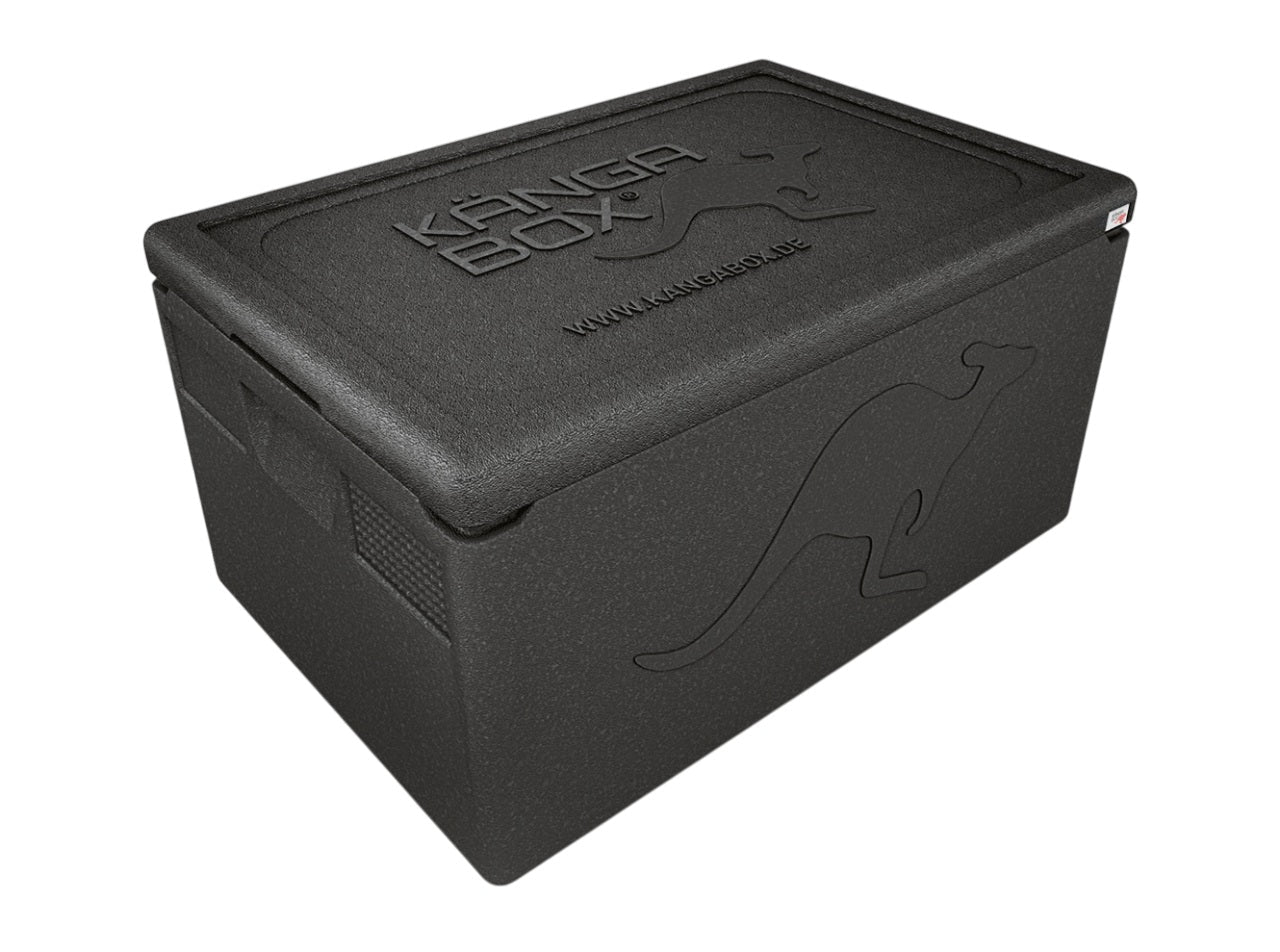 Professional Thermobox für GN 1/1 – Standardgriffe