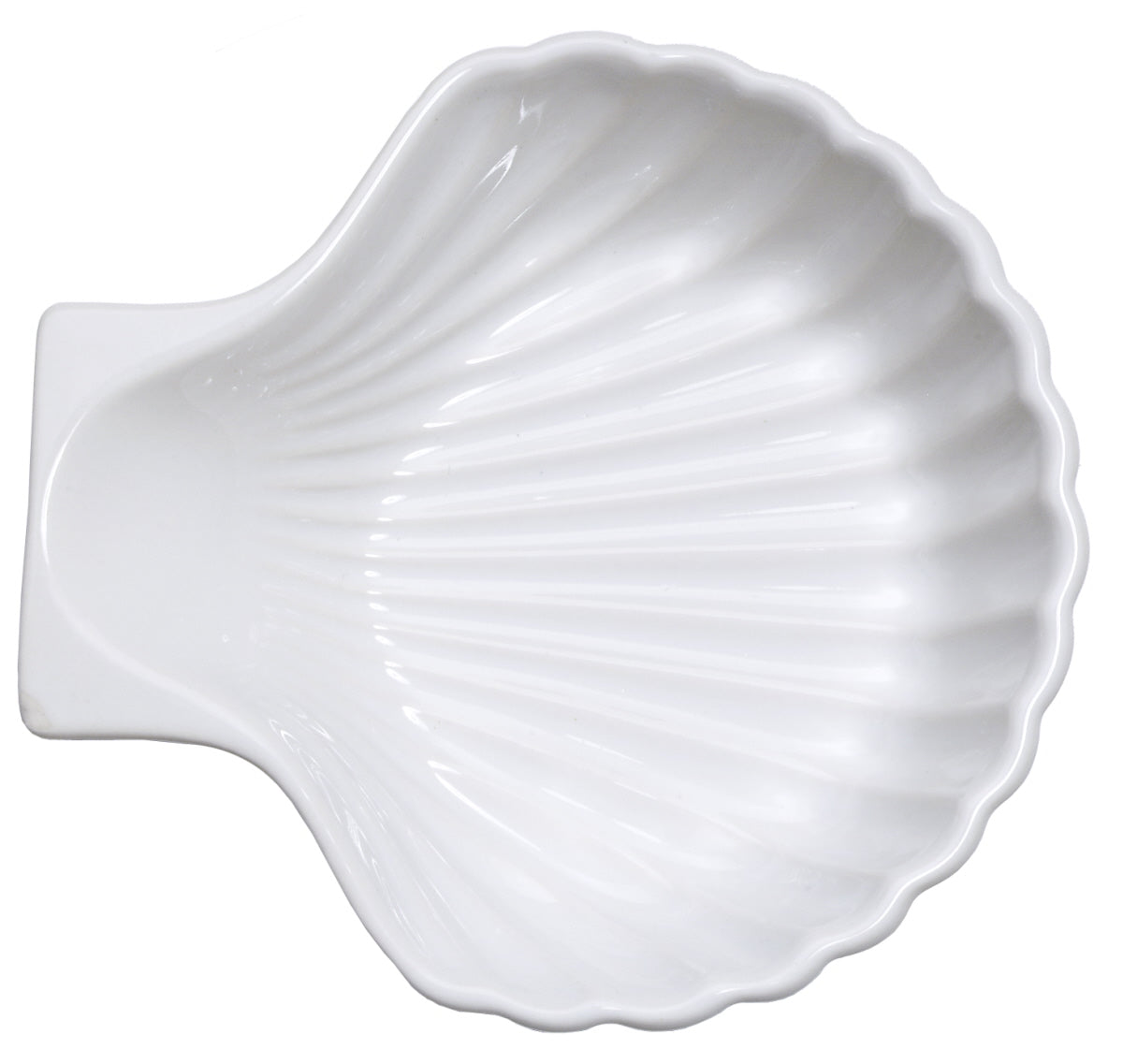 Muschelschale