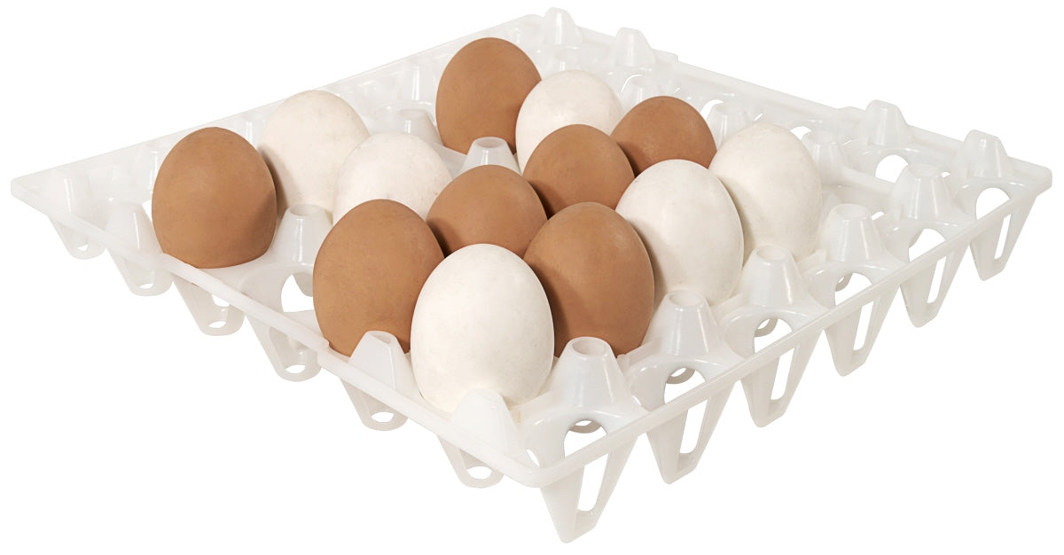 Eiertablett weiß