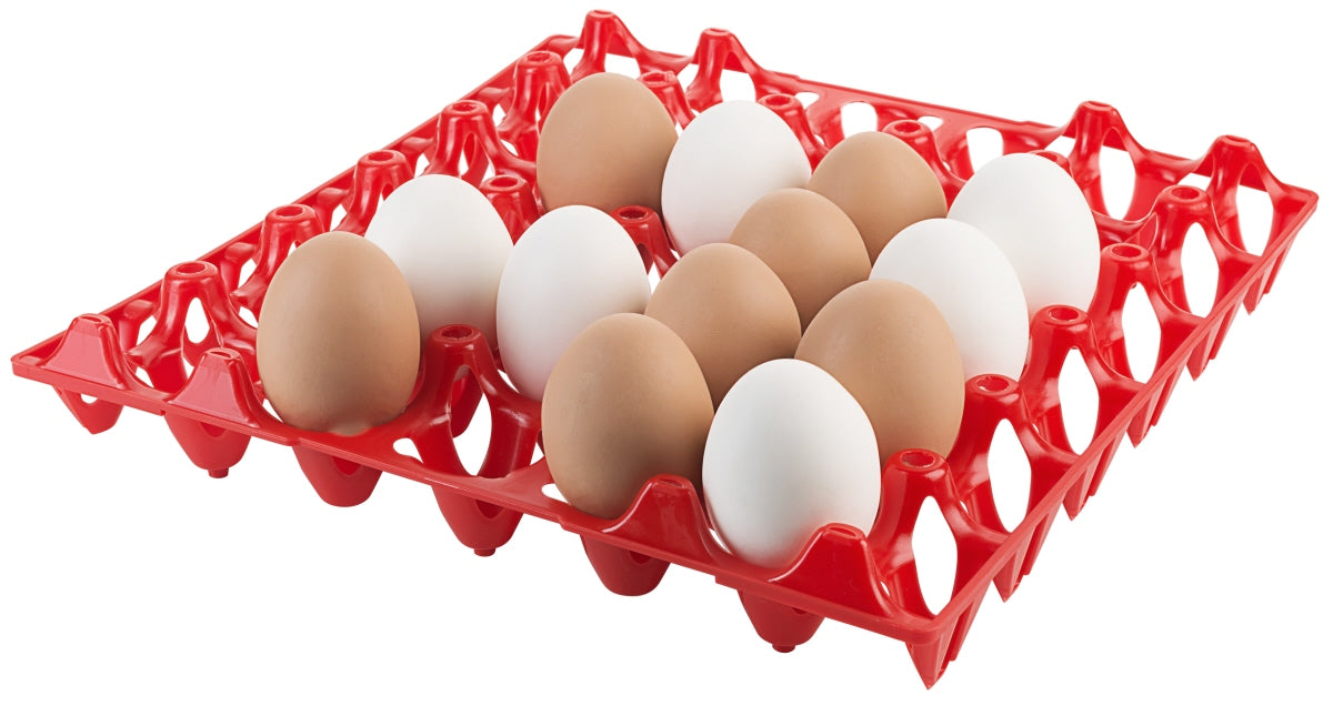 Eiertablett, Polypropylen, Größe wählbar