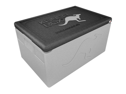 Professional Thermobox für GN 1/1 – Standardgriffe